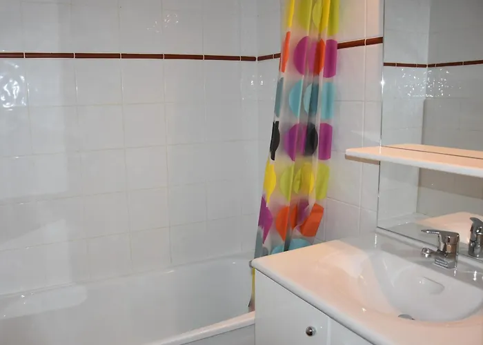 Centre Station, Animaux Admis - Fr-1-464-246 * La Plagne