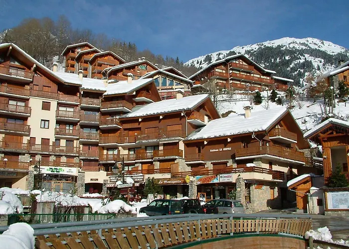 Centre Station, Animaux Admis - Fr-1-464-246 La Plagne